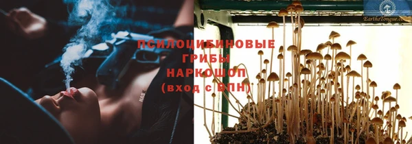 гашик Бугульма