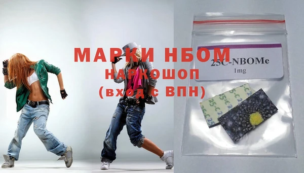 дмт Бородино