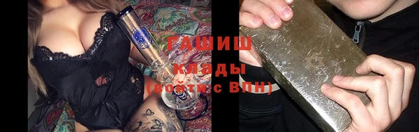 дмт Бородино