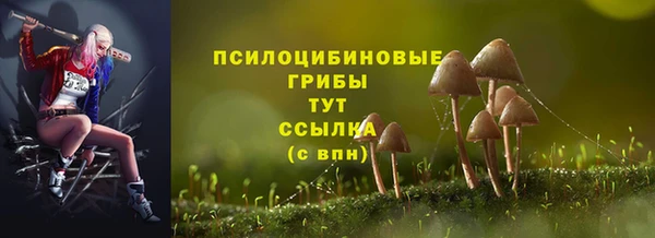 гашик Бугульма