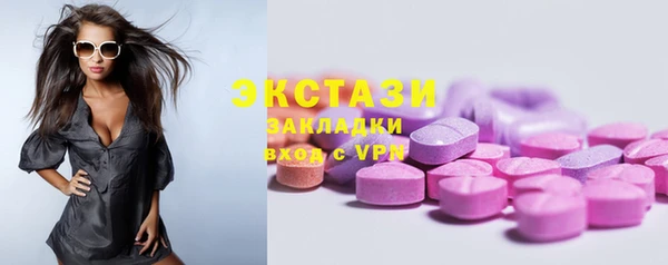 дмт Бородино