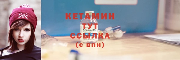дмт Бородино