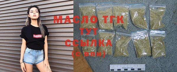 дмт Бородино