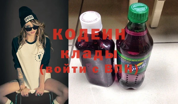 дмт Бородино