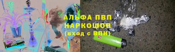 дмт Бородино