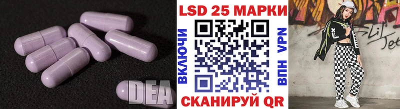 kraken зеркало  Гудермес  Лсд 25 экстази ecstasy  купить  сайты 