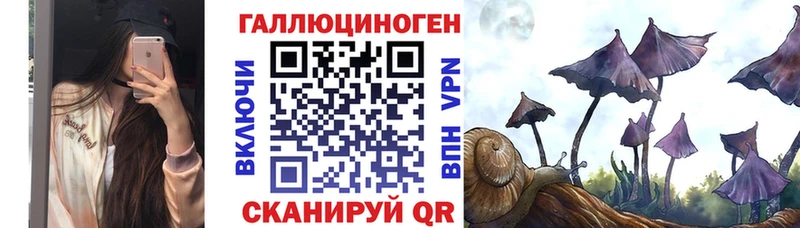 магазин наркотиков Гудермес гидра как зайти Галлюциногенные грибы Magic Shrooms