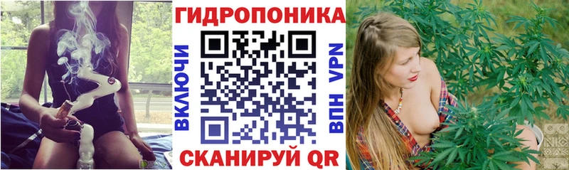 мега как зайти  даркнет клад  Шишки марихуана Amnesia  Гудермес 